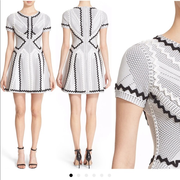 😎 Herve Leger Knit Fit and Flare Dress 😎 - Picture 12 of 14